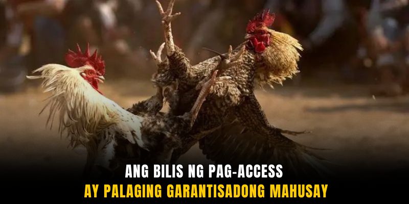 Ang bilis ng pag-access ay palaging garantisadong mahusay