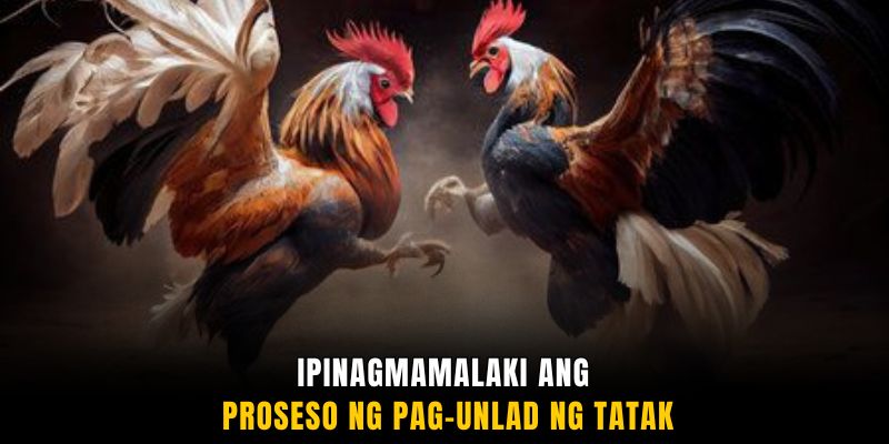 Ipinagmamalaki ang proseso ng pag-unlad ng tatak