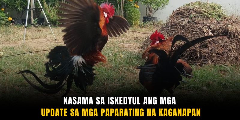 Kasama sa iskedyul ang mga update sa mga paparating na kaganapan