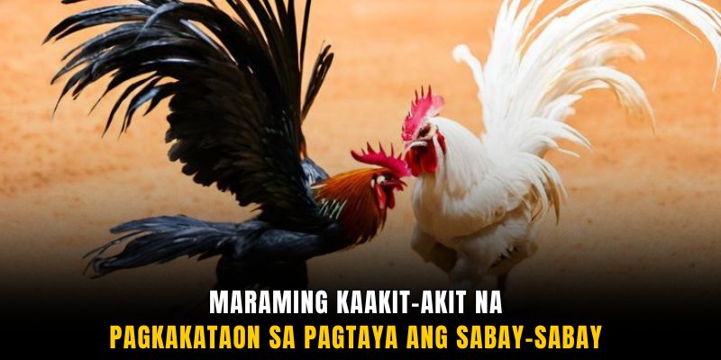 Maraming kaakit-akit na pagkakataon sa pagtaya ang sabay-sabay 