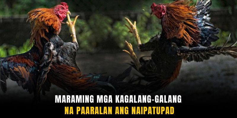 Maraming mga kagalang-galang na paaralan ang naipatupad