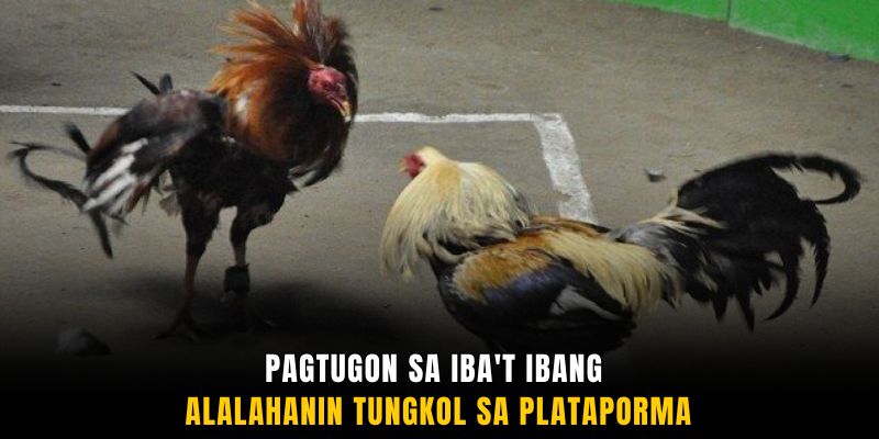Pagtugon sa iba't ibang alalahanin tungkol sa plataporma