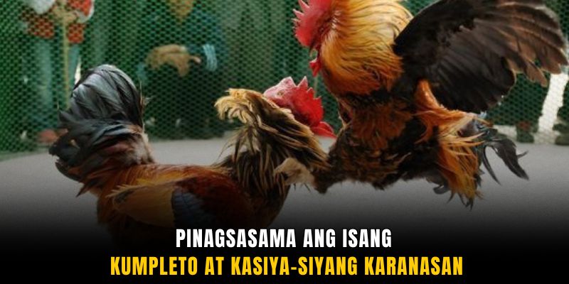 Pinagsasama ang isang kumpleto at kasiya-siyang karanasan