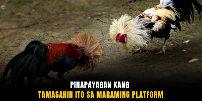 Pinapayagan kang tamasahin ito sa maraming platform