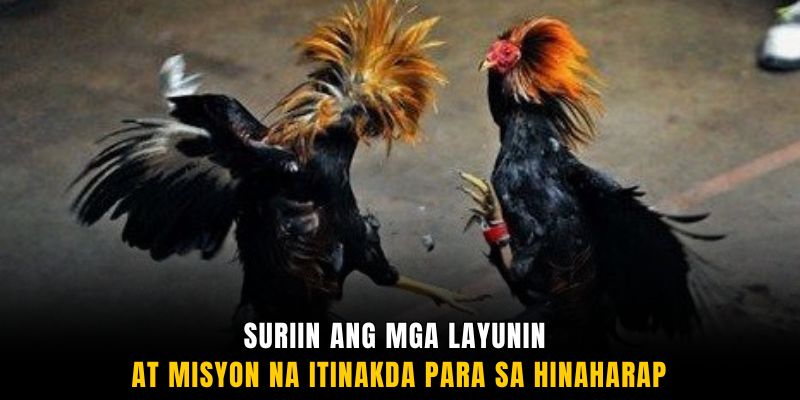 Suriin ang mga layunin at misyon na itinakda para sa hinaharap