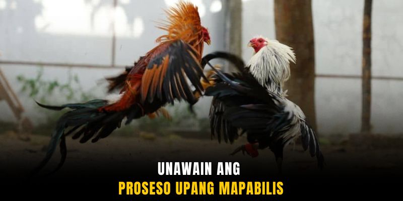Unawain ang proseso upang mapabilis